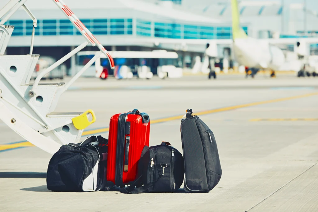 holiday luggage